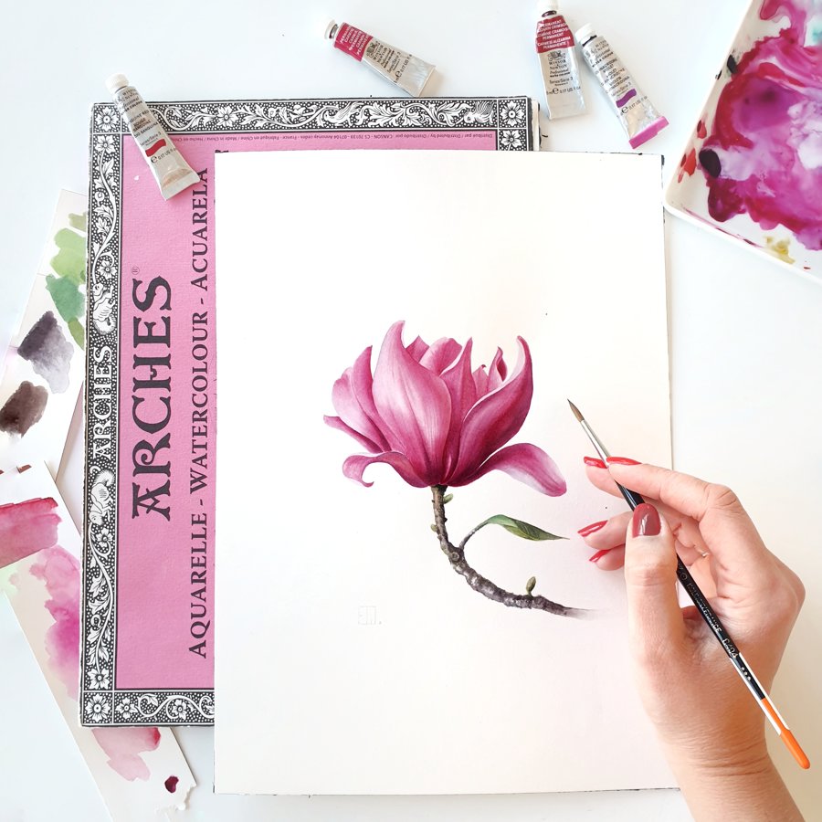Video-pamācība "Kā gleznot magnoliju akvareļu tehnikā"