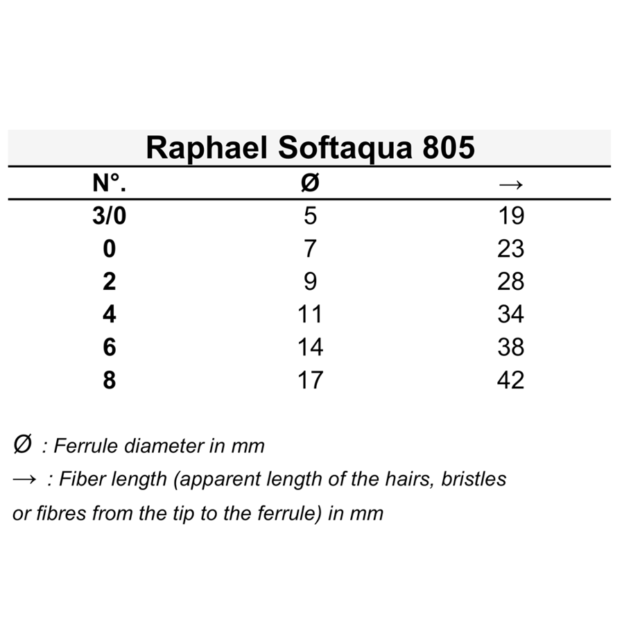 Ota Raphael Softaqua 805 Quill mop