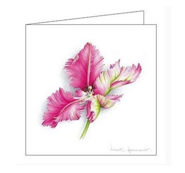 Atklātnīte ar aploksni PINK PARROT TULIP (15 x 15 cm)