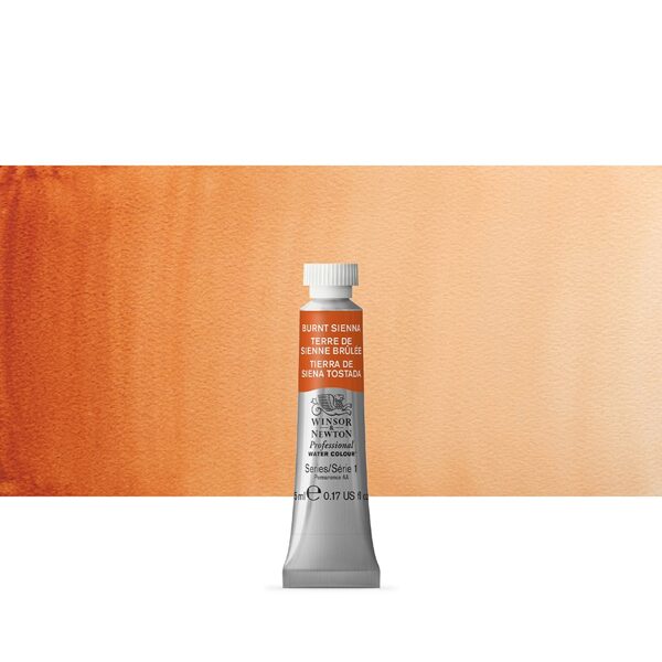 Winsor&Newton Professional: burnt sienna